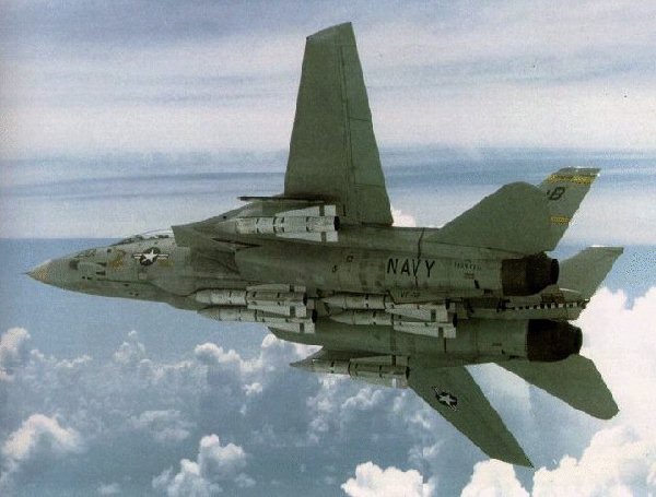 An F-14 with a full load of 6 Phoenix missiles!