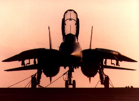 F-14 at Dawn